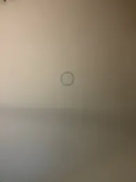 Nhefertary webcam model stream image
